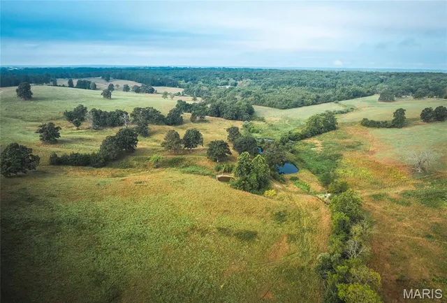 $1,483,200 | 10090 Highway Tt Falcon Mo 65470, Falcon, MO 65470