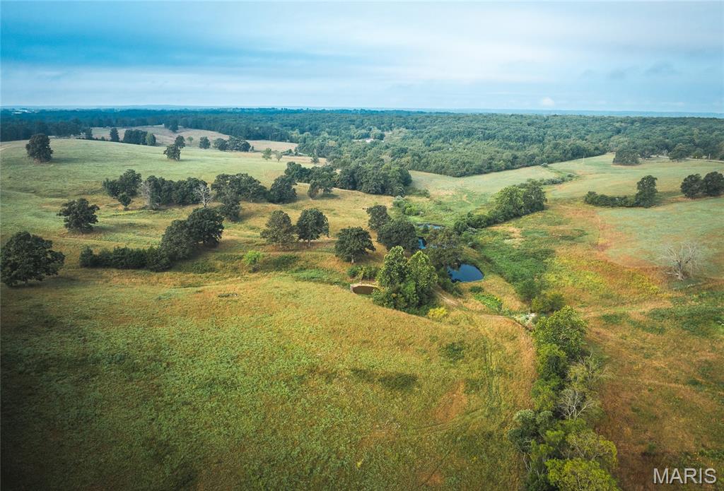 10090 Highway Tt Falcon Mo 65470 Falcon, MO 65470 - Photo 14 of 46