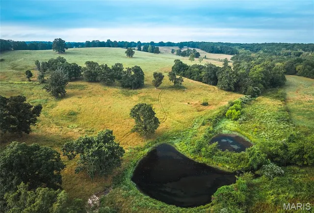 $1,483,200 | 10090 Highway Tt Falcon Mo 65470, Falcon, MO 65470