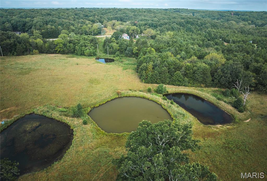 10090 Highway Tt Falcon Mo 65470 Falcon, MO 65470 - Photo 17 of 46