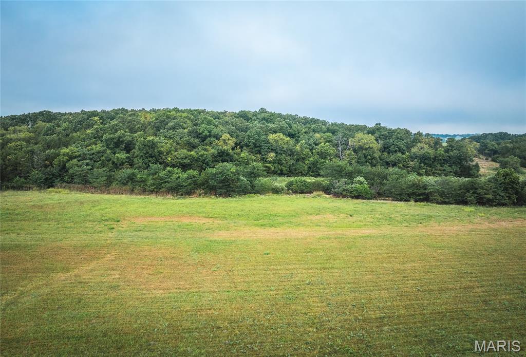 10090 Highway Tt Falcon Mo 65470 Falcon, MO 65470 - Photo 22 of 46