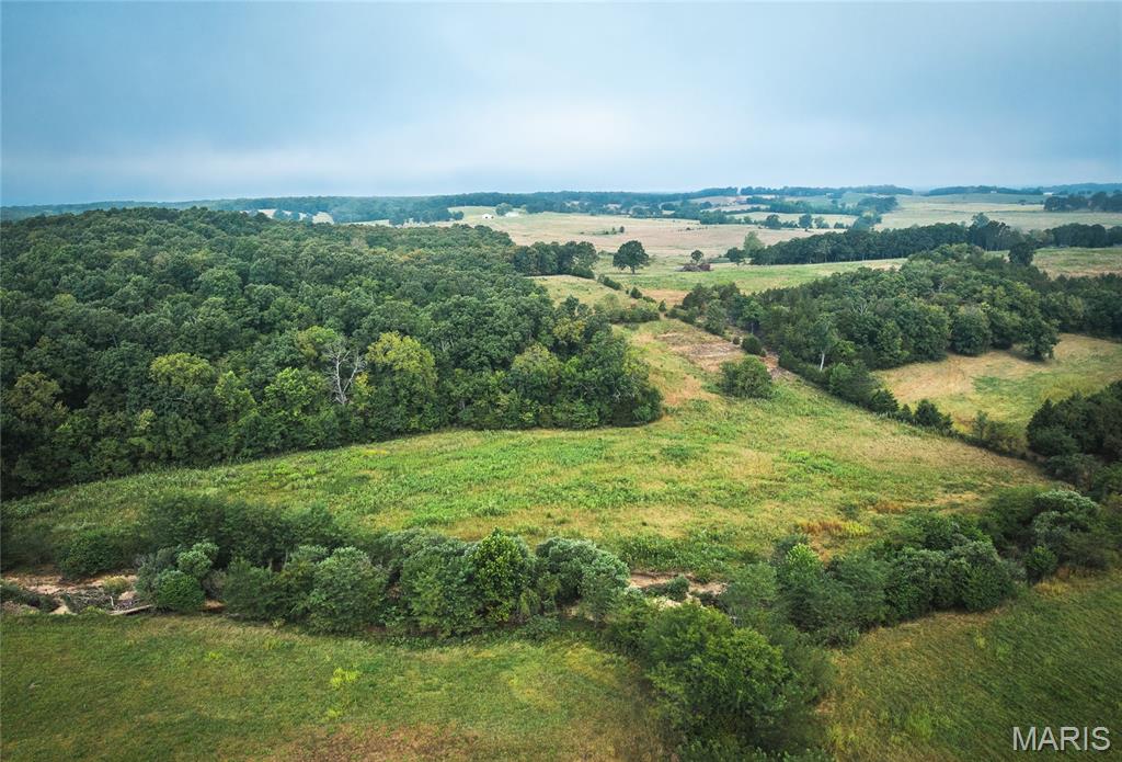 10090 Highway Tt Falcon Mo 65470 Falcon, MO 65470 - Photo 23 of 46
