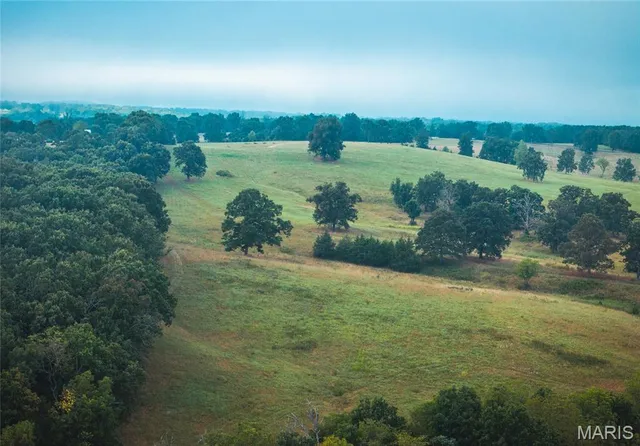 $1,483,200 | 10090 Highway Tt Falcon Mo 65470, Falcon, MO 65470