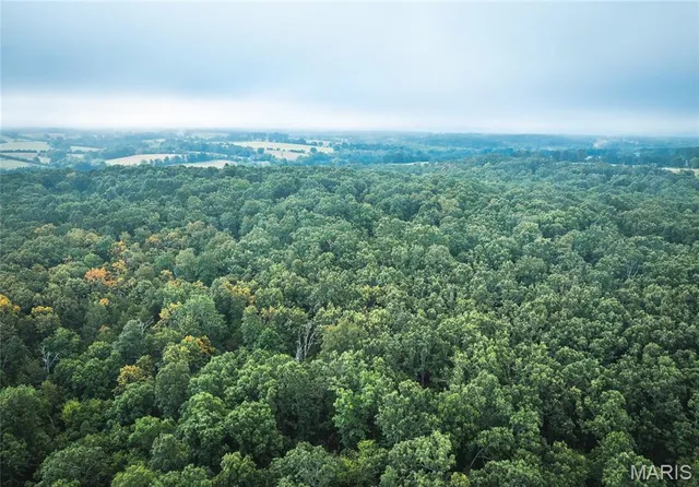 $1,483,200 | 10090 Highway Tt Falcon Mo 65470, Falcon, MO 65470