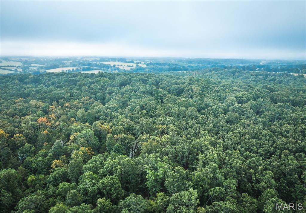 10090 Highway Tt Falcon Mo 65470 Falcon, MO 65470 - Photo 29 of 46