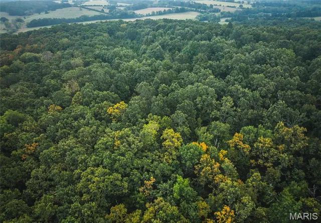 $1,483,200 | 10090 Highway Tt Falcon Mo 65470, Falcon, MO 65470