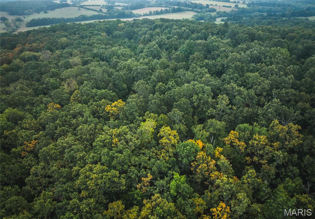 10090 Highway Tt Falcon Mo 65470 Falcon, MO 65470 - Photo 31 of 46