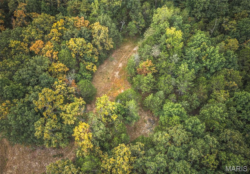10090 Highway Tt Falcon Mo 65470 Falcon, MO 65470 - Photo 32 of 46