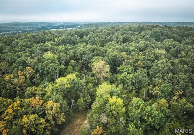 $1,483,200 | 10090 Highway Tt Falcon Mo 65470, Falcon, MO 65470