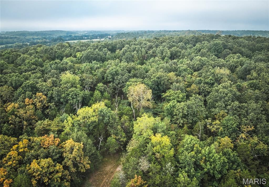 10090 Highway Tt Falcon Mo 65470 Falcon, MO 65470 - Photo 33 of 46