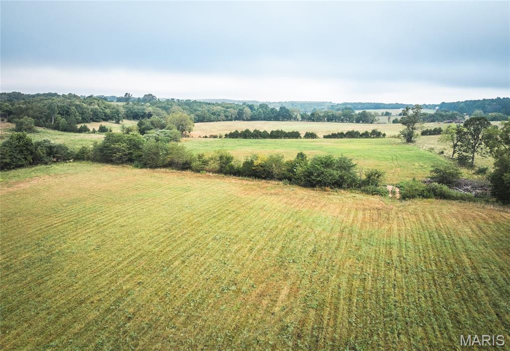 10090 Highway Tt Falcon Mo 65470 Falcon, MO 65470 - Photo 34 of 46