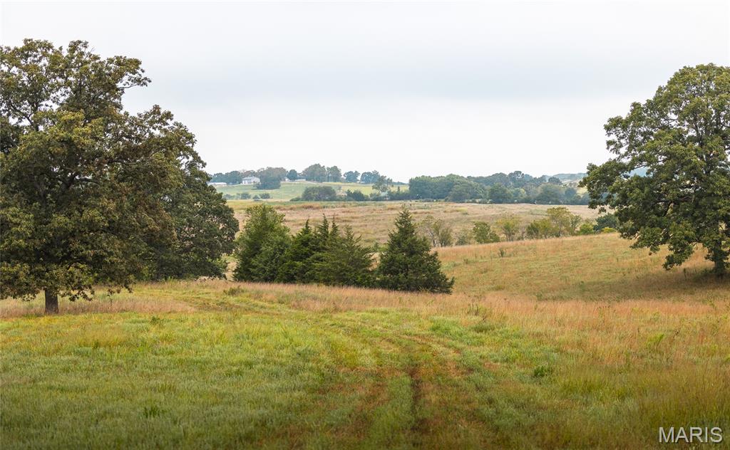 10090 Highway Tt Falcon Mo 65470 Falcon, MO 65470 - Photo 35 of 46