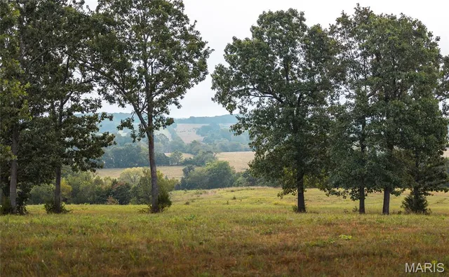 $1,483,200 | 10090 Highway Tt Falcon Mo 65470, Falcon, MO 65470