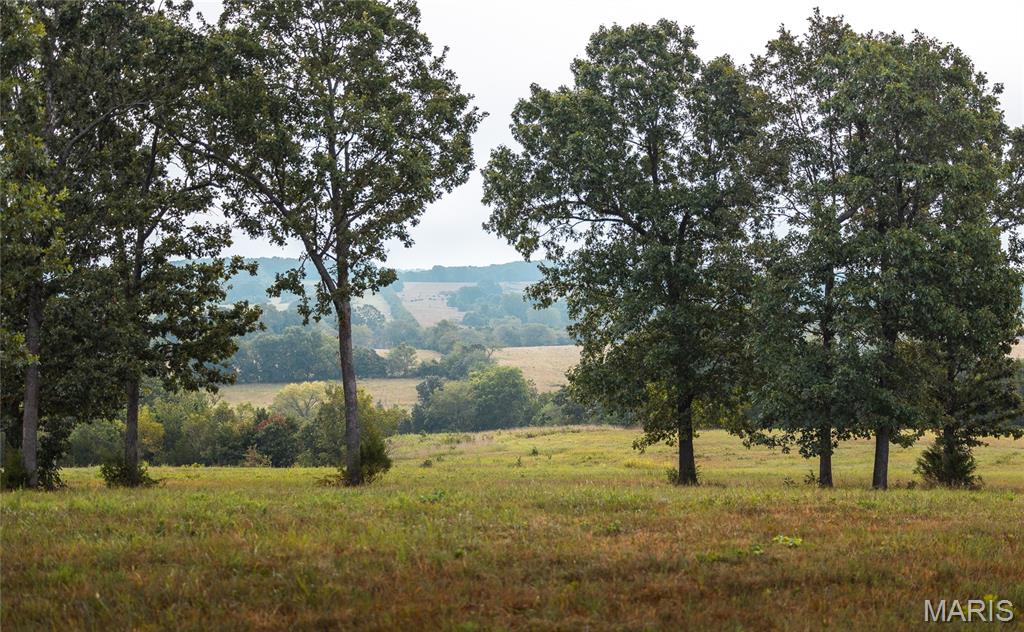 10090 Highway Tt Falcon Mo 65470 Falcon, MO 65470 - Photo 36 of 46