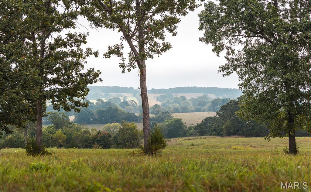 10090 Highway Tt Falcon Mo 65470 Falcon, MO 65470 - Photo 39 of 46