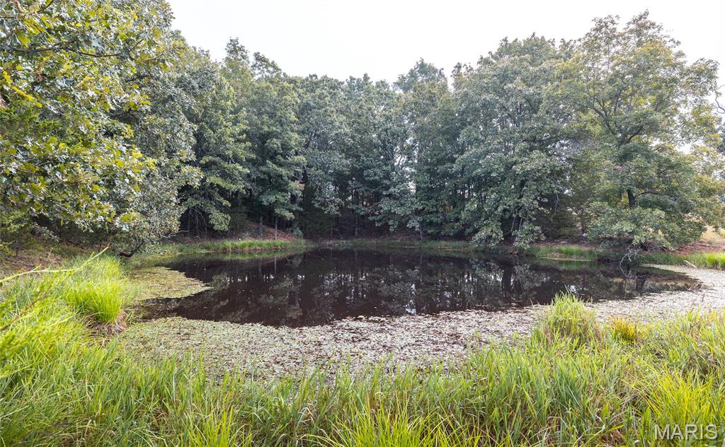 10090 Highway Tt Falcon Mo 65470 Falcon, MO 65470 - Photo 40 of 46