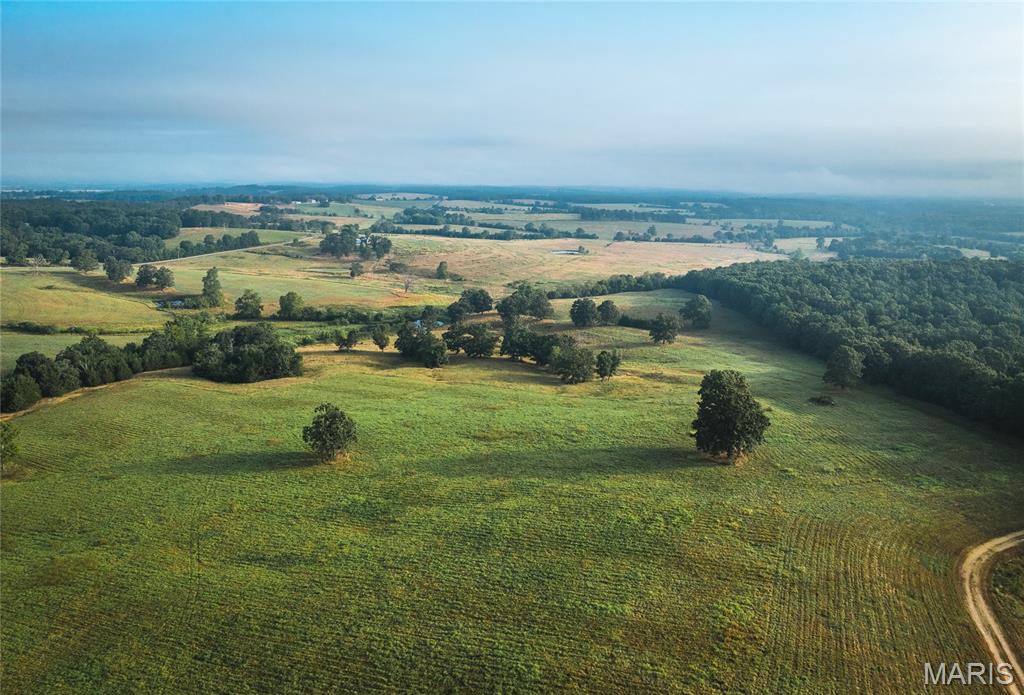 10090 Highway Tt Falcon Mo 65470 Falcon, MO 65470 - Photo 4 of 46