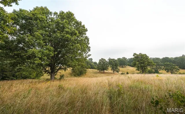 $1,483,200 | 10090 Highway Tt Falcon Mo 65470, Falcon, MO 65470