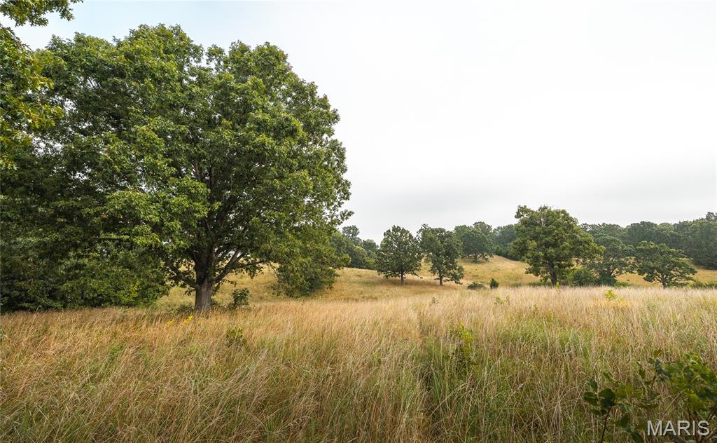10090 Highway Tt Falcon Mo 65470 Falcon, MO 65470 - Photo 41 of 46