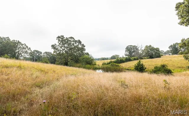 $1,483,200 | 10090 Highway Tt Falcon Mo 65470, Falcon, MO 65470