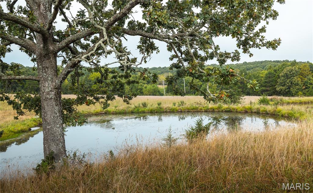 10090 Highway Tt Falcon Mo 65470 Falcon, MO 65470 - Photo 46 of 46