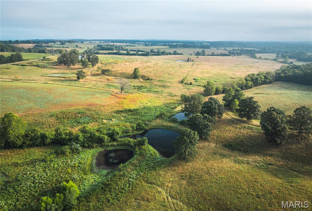 10090 Highway Tt Falcon Mo 65470 Falcon, MO 65470 - Photo 6 of 46