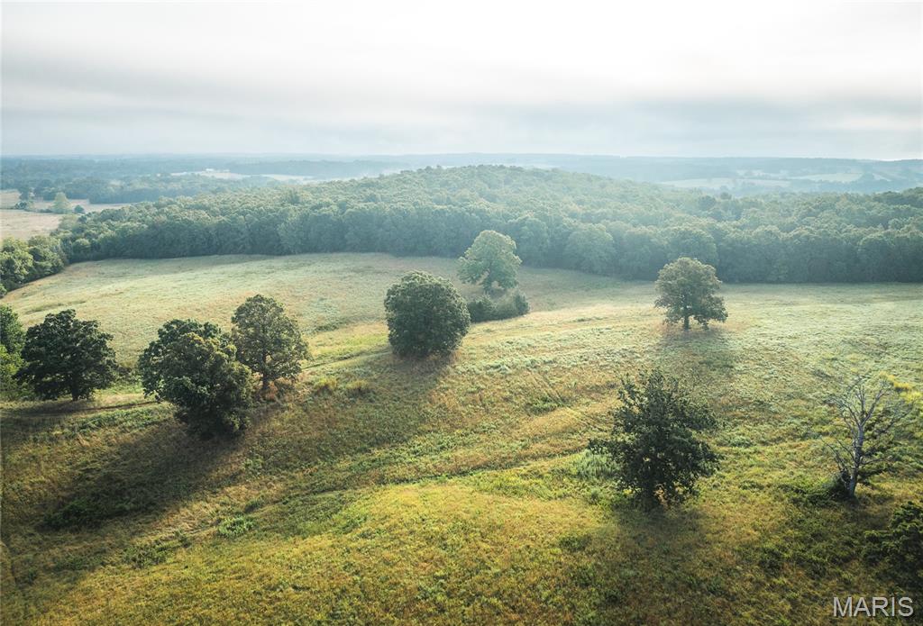 10090 Highway Tt Falcon Mo 65470 Falcon, MO 65470 - Photo 7 of 46