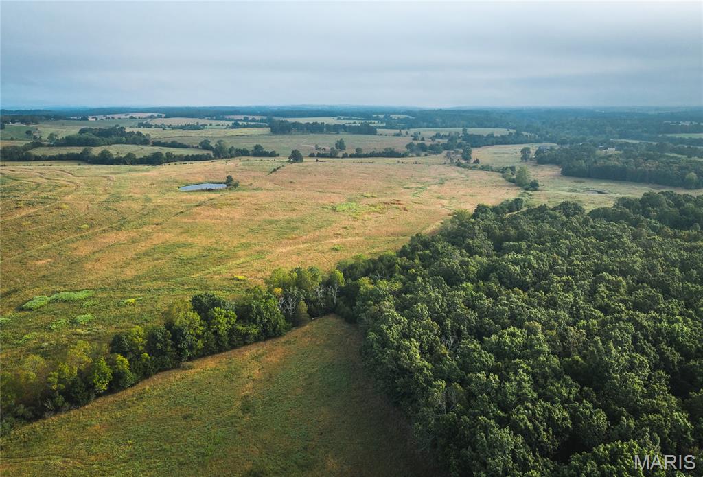 10090 Highway Tt Falcon Mo 65470 Falcon, MO 65470 - Photo 8 of 46