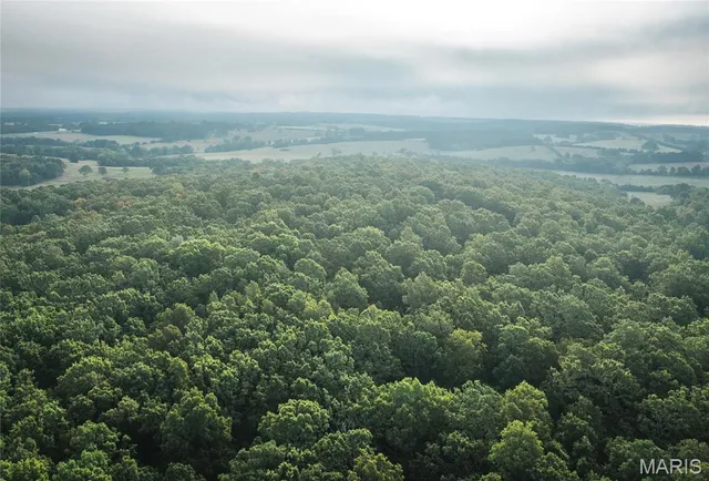 $1,483,200 | 10090 Highway Tt Falcon Mo 65470, Falcon, MO 65470