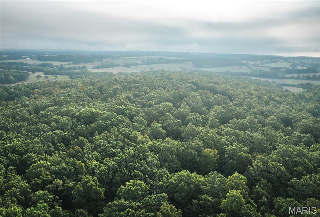 10090 Highway Tt Falcon Mo 65470 Falcon, MO 65470 - Photo 9 of 46