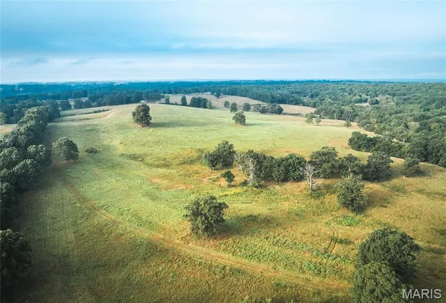 $1,483,200 | 10090 Highway Tt Falcon Mo 65470, Falcon, MO 65470