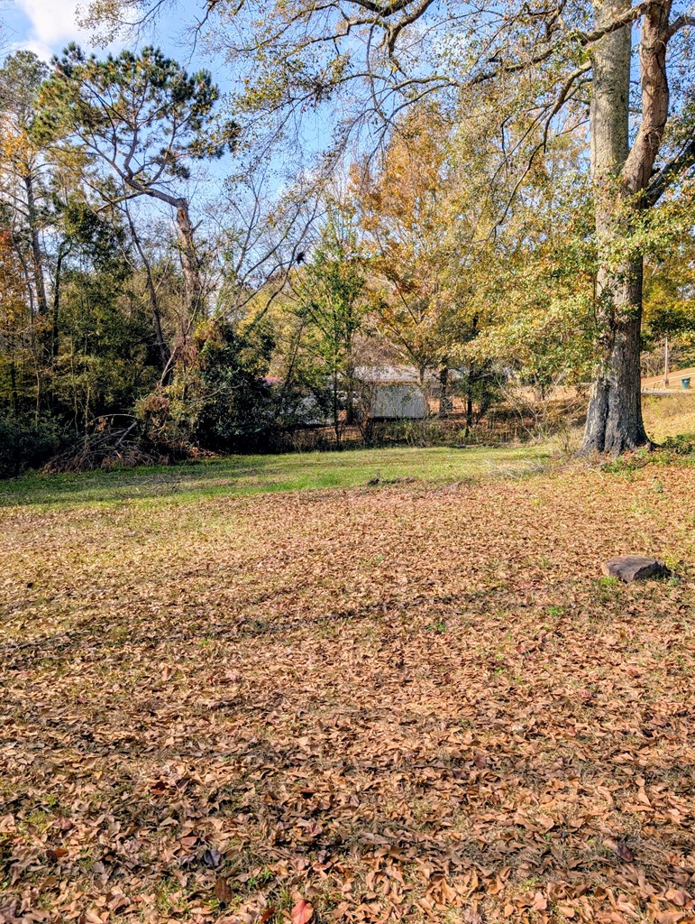 223 New Fort Browder Road Eufaula, AL 36027 - Photo 15 of 15