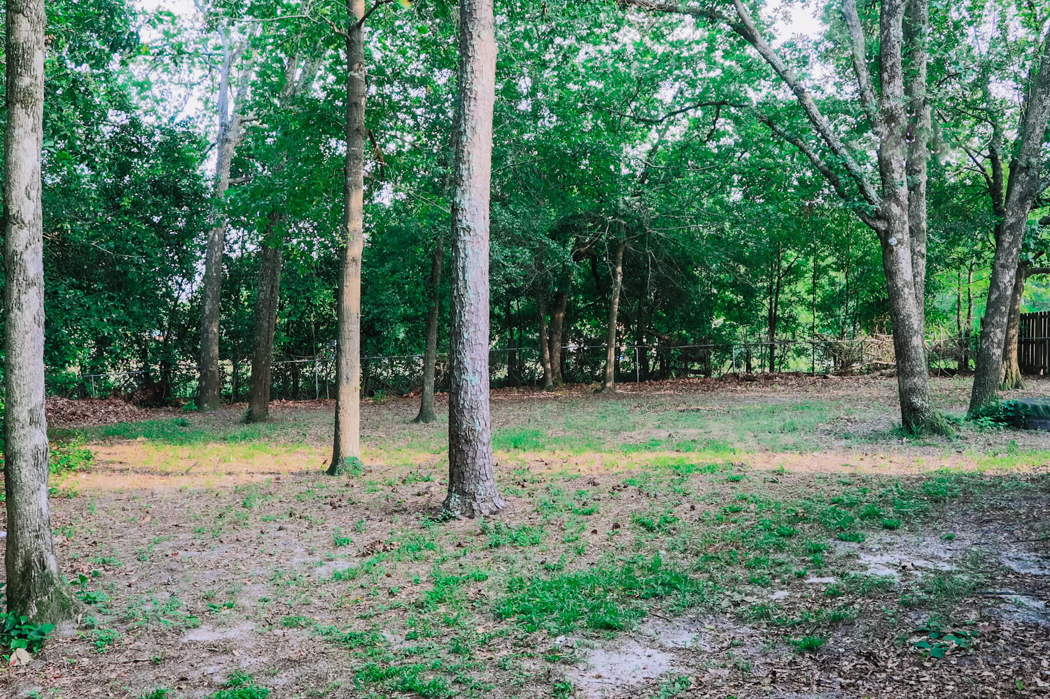 4330 Ridge Cliff Drive Augusta, GA 30909 - Photo 24 of 27 gound backyard