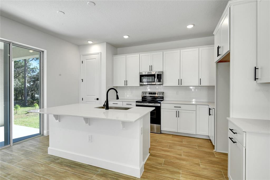 1010 Cloud Rdg Court Mount Dora, FL 32757 - Photo 5 of 19