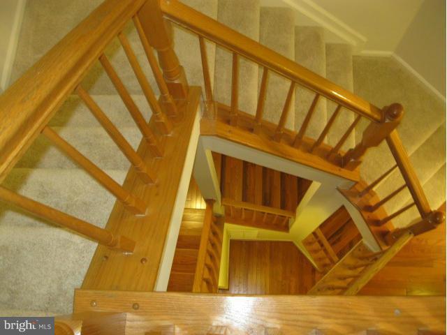 3006 Spice Bush Road Laurel, MD 20724 - Photo 15 of 22 View