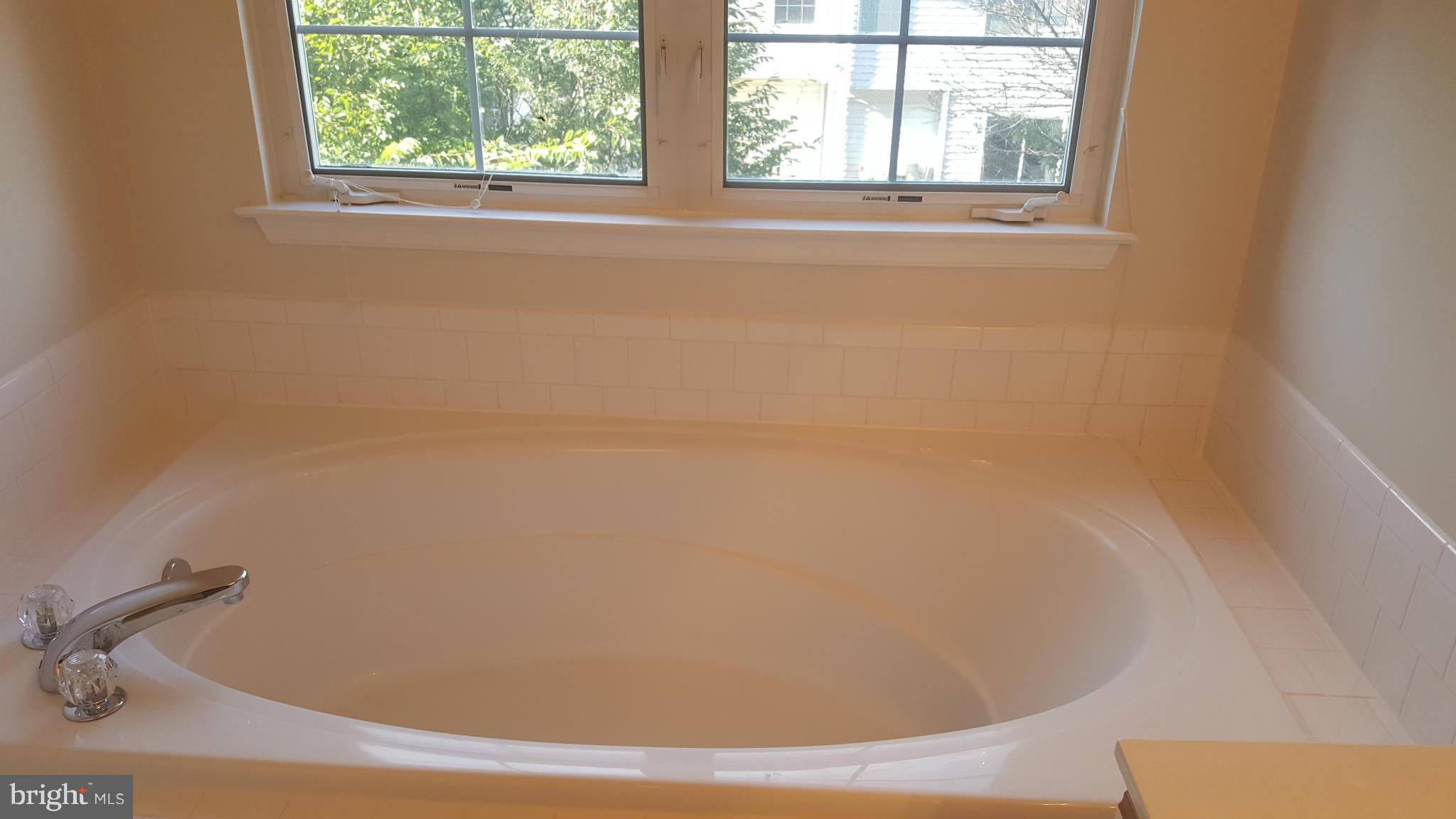 3006 Spice Bush Road Laurel, MD 20724 - Photo 18 of 22 Bath (Master)