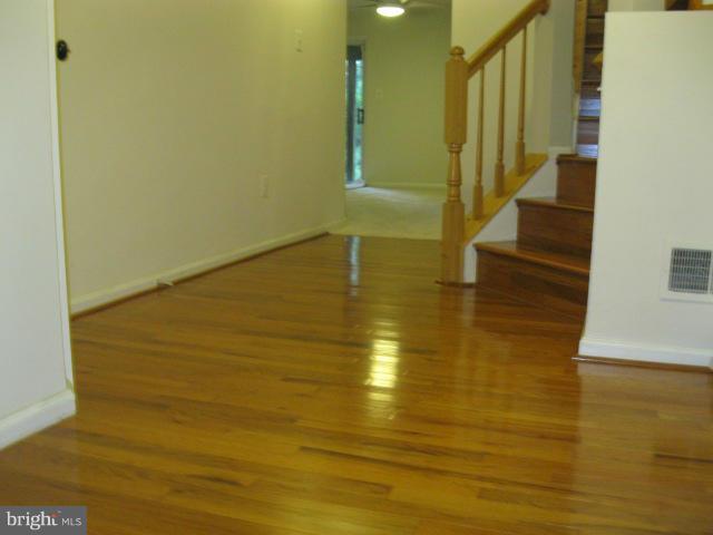 Interior (General)