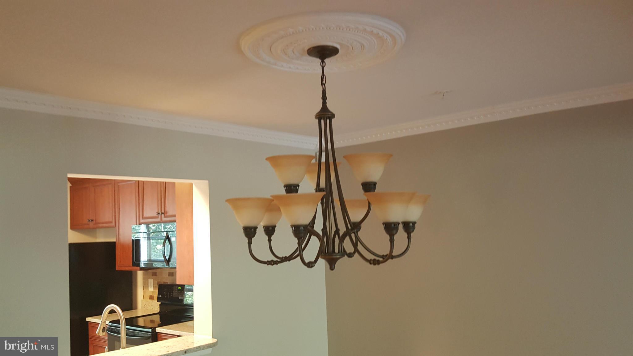 3006 Spice Bush Road Laurel, MD 20724 - Photo 9 of 22 Dining Room