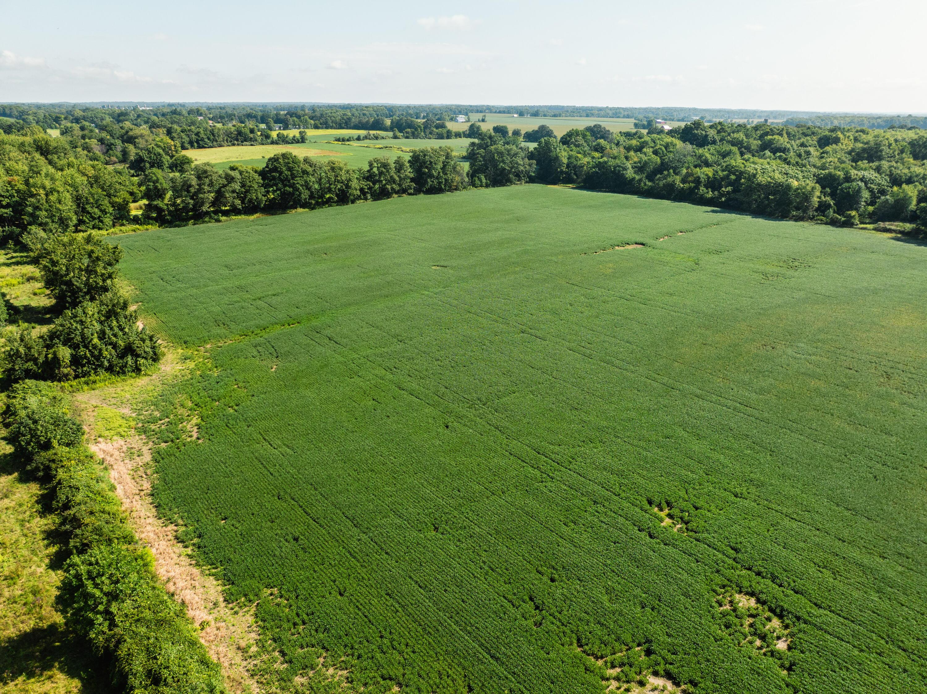 0 Sycamore Road Centerburg, OH 43011 - Photo 65 of 69 DJI_20260827154637_0911_D