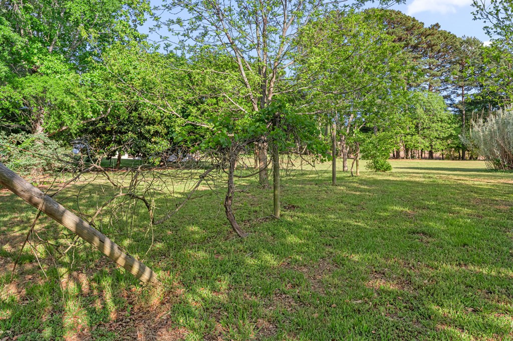 6078 Harmantown Road Machipongo, VA 23405 - Photo 52 of 61