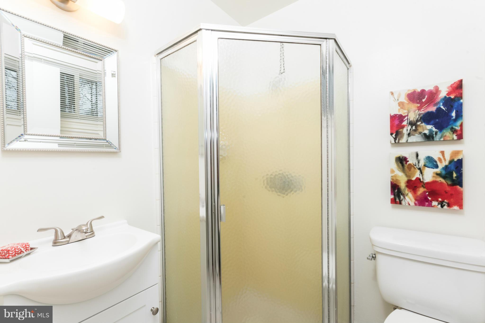 8806 Victoria Road Springfield, VA 22151 - Photo 13 of 27 Bath (Master)
