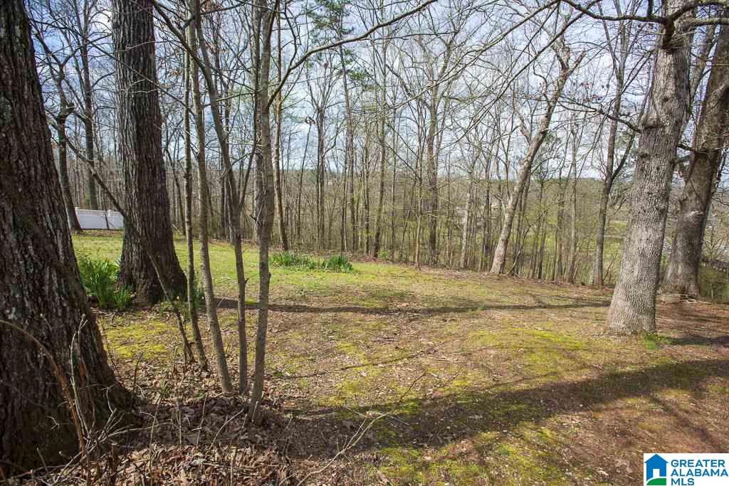 7833 John Pelham Trail McCalla, AL 35111 - Photo 26 of 31