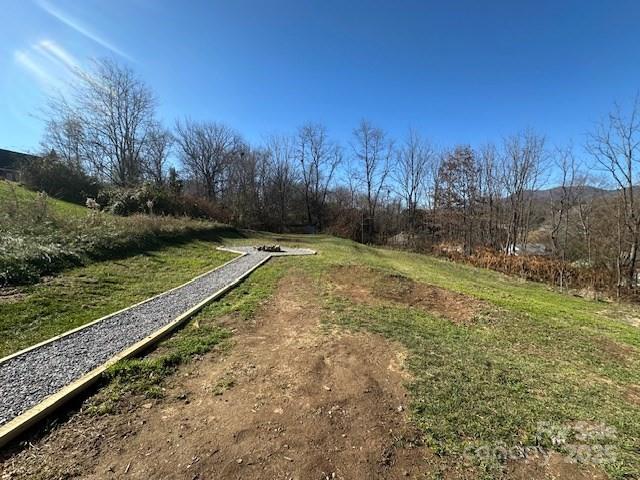 1224 Phillipsville Loop Canton, NC 28716 - Photo 5 of 22 a view of a yard with an trees