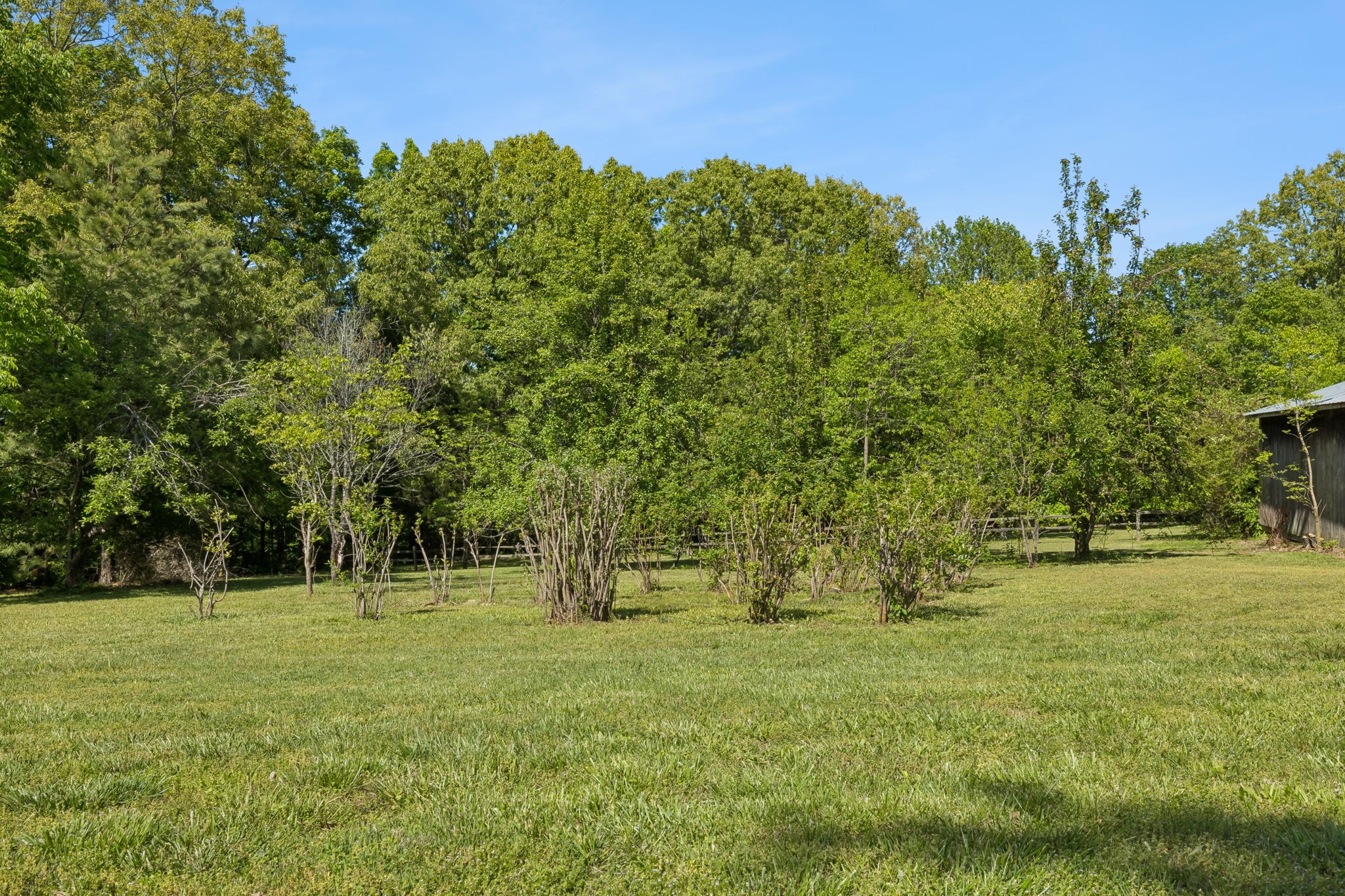 649 Attaway Road Clarksville, TN 37040 - Photo 35 of 52