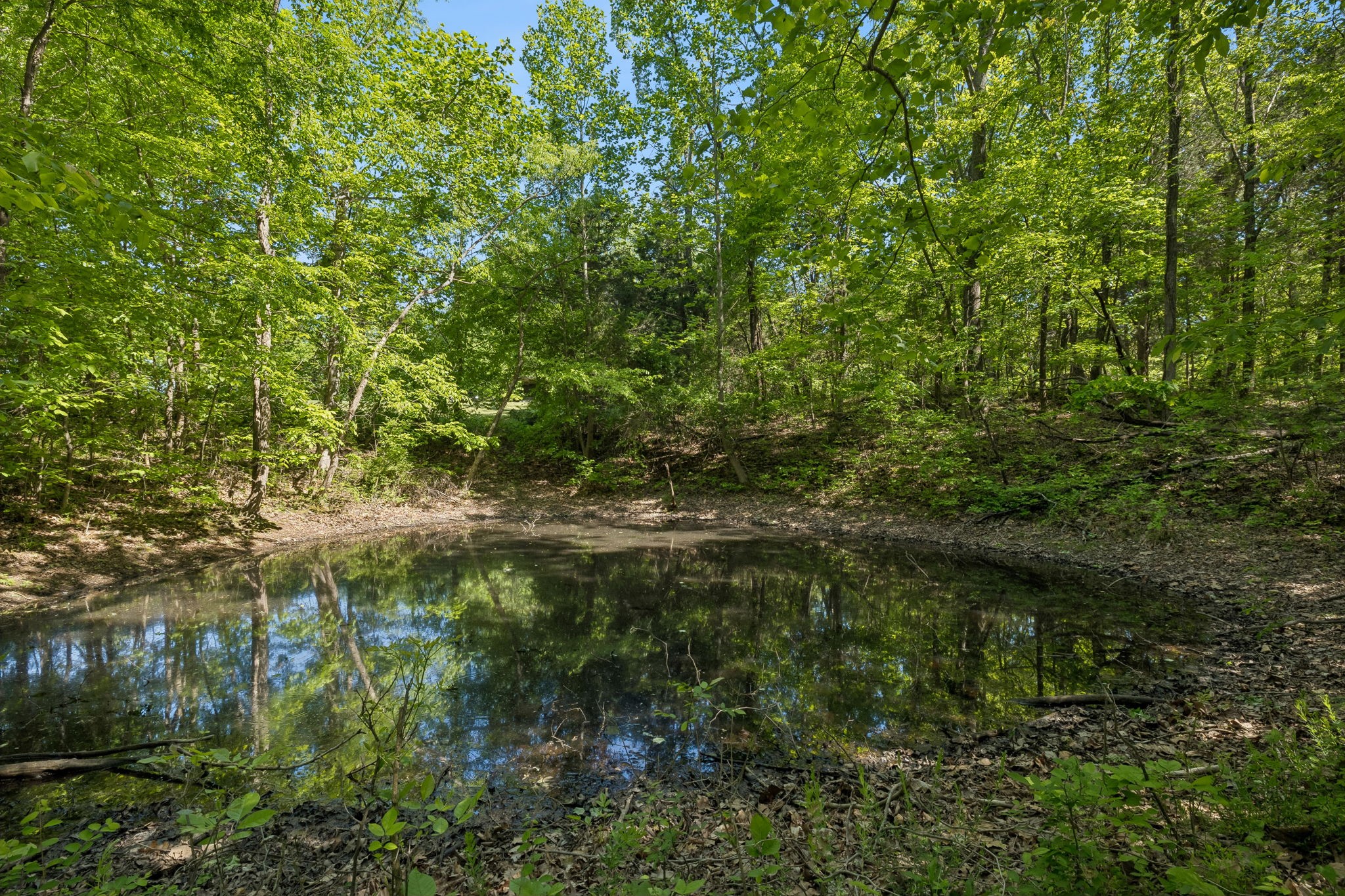 649 Attaway Road Clarksville, TN 37040 - Photo 43 of 52