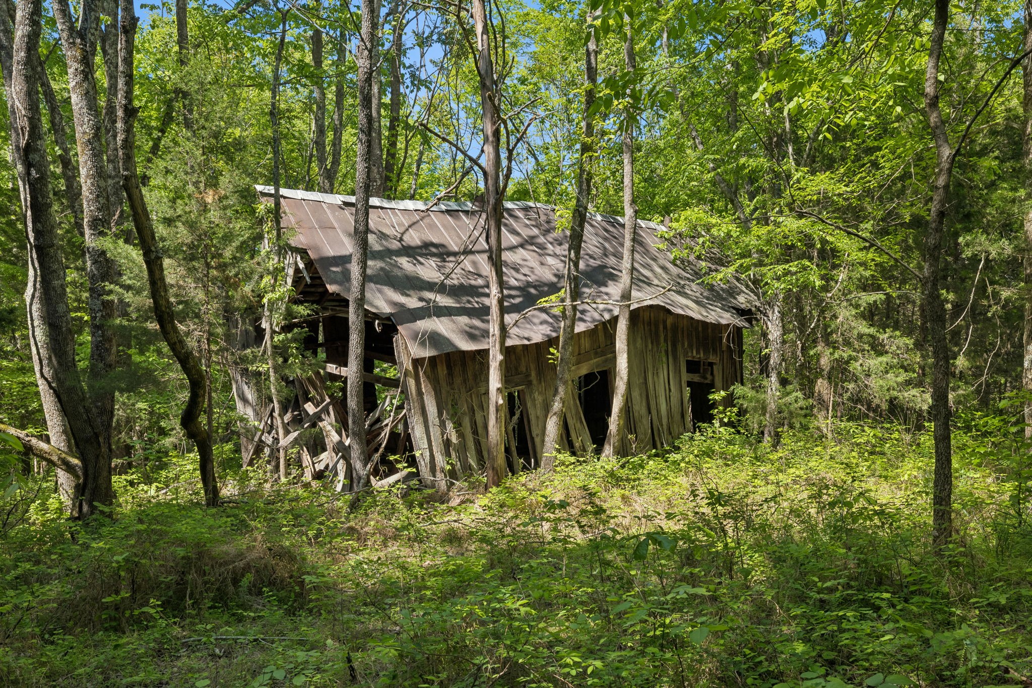 649 Attaway Road Clarksville, TN 37040 - Photo 44 of 52