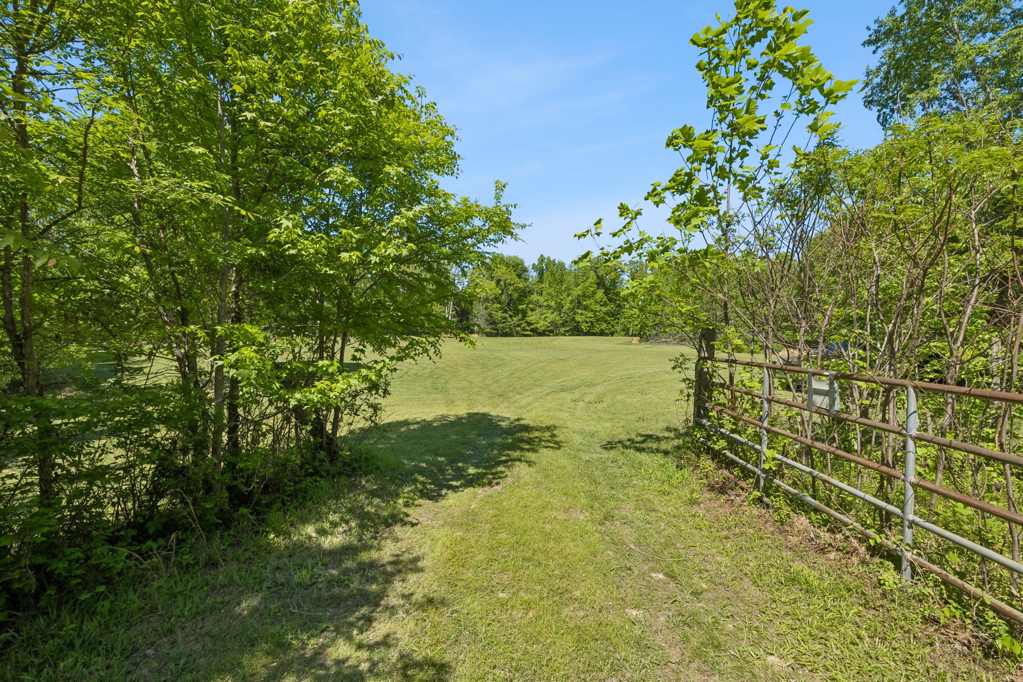 649 Attaway Road Clarksville, TN 37040 - Photo 45 of 52