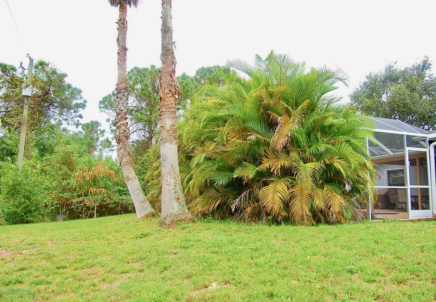 1691 Adview Road Southeast Palm Bay, FL 32909 - Photo 29 of 30 IMG_9227