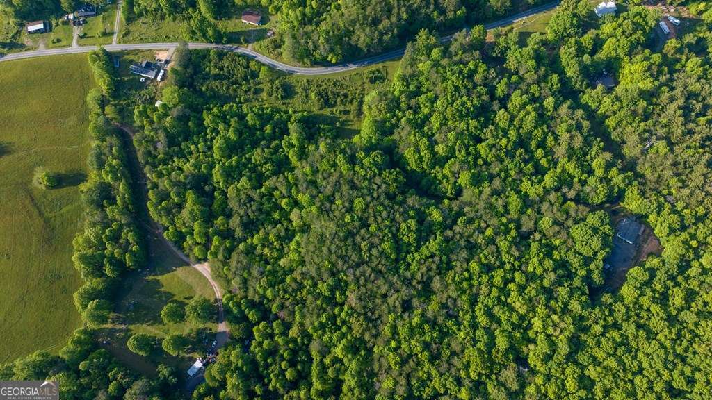 3 West Gum Log Road Warne, NC 28909 - Photo 7 of 14