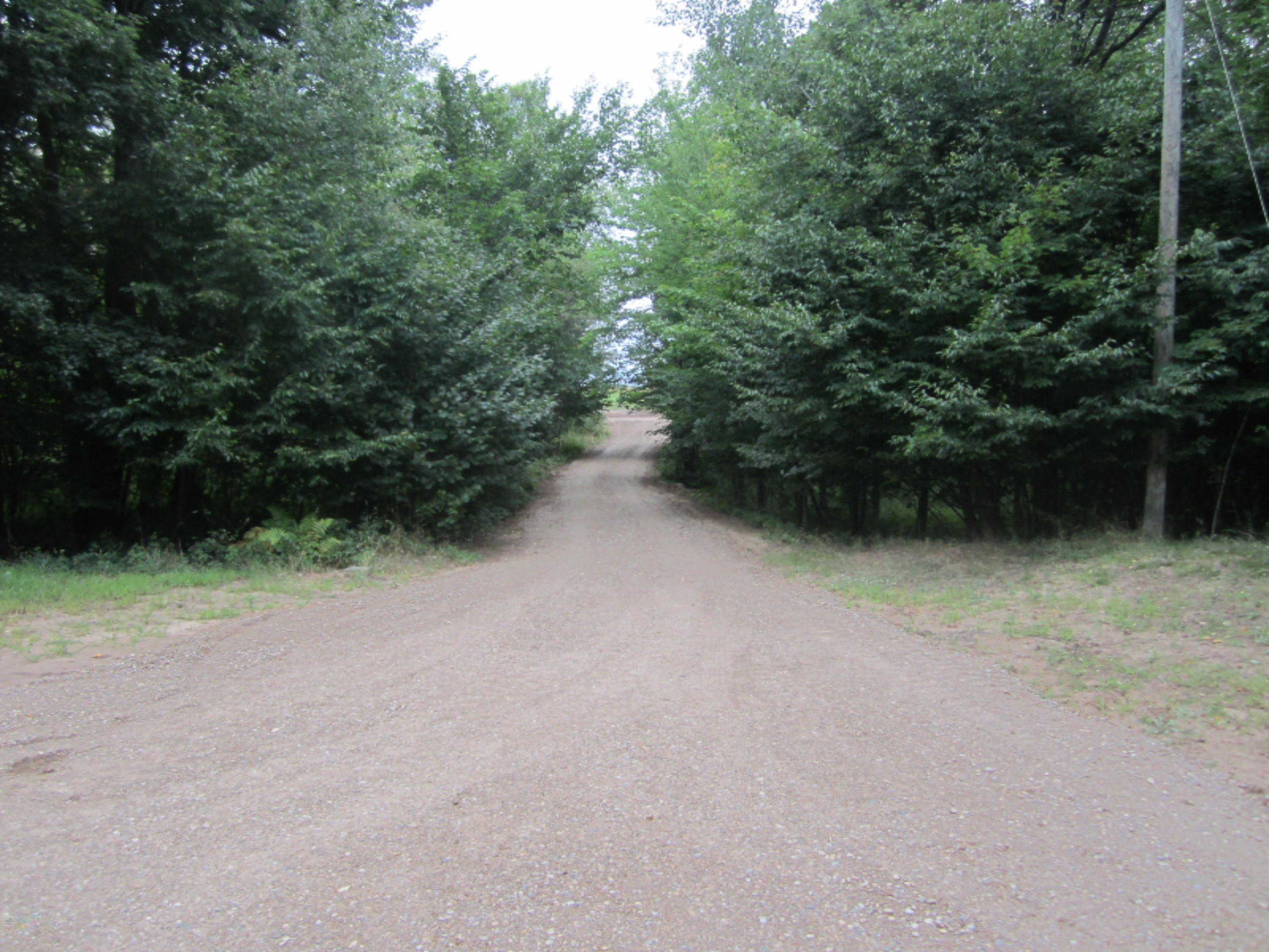 8686 15 Mile Road Paris, MI 49338 - Photo 17 of 26 Routley driveway